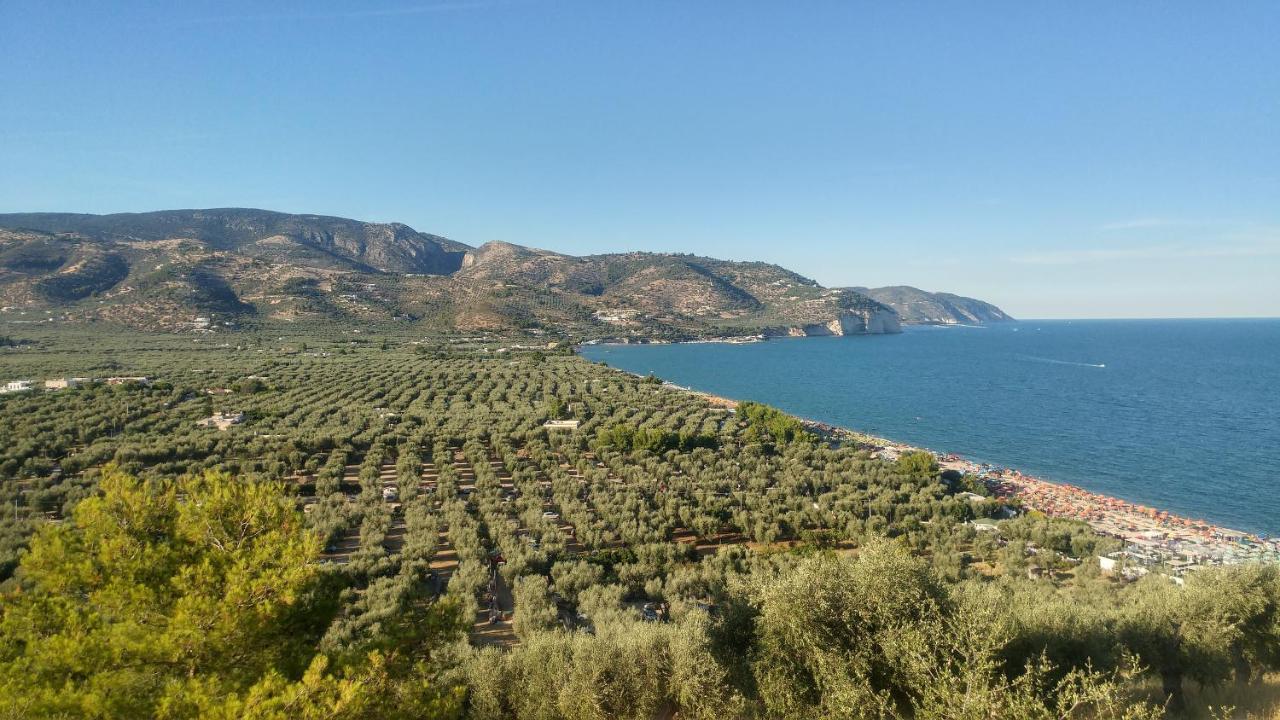 Villa Frantoio Mattinata Esterno foto